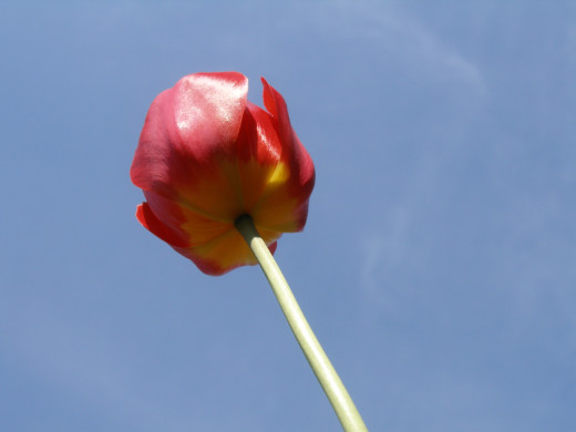 419266 (a): :1600x1200